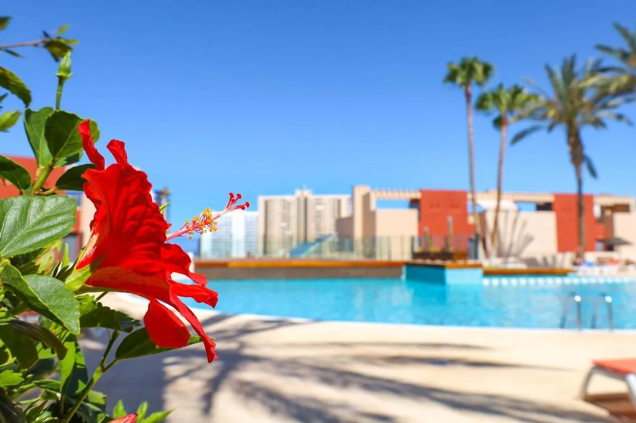 Chill In Paradise Playa Paraiso  Daire Playa Paraiso (Tenerife)